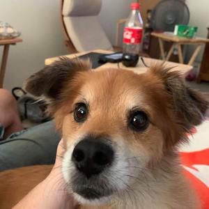 Meet your Posher, Leslie